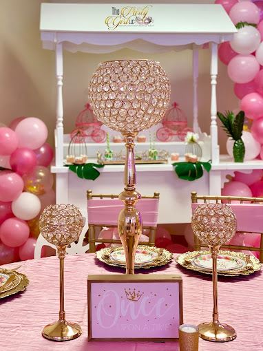 The Party Girl LLC Venue