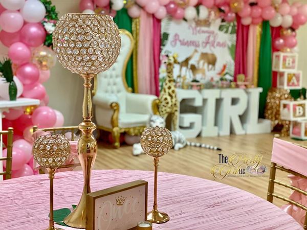 The Party Girl LLC Venue