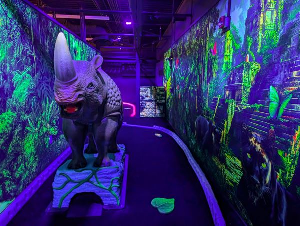 Aerosports Trampoline Park