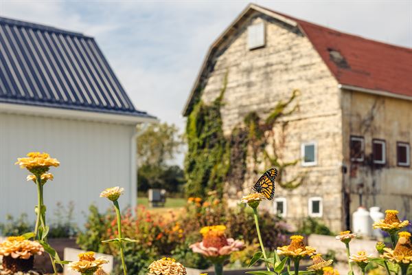 The Meadows at Sweet Farm