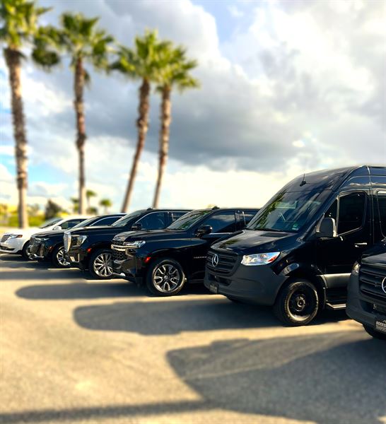 Access Line Transportation & Limousine Services