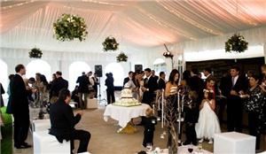 Bella Design & Planning