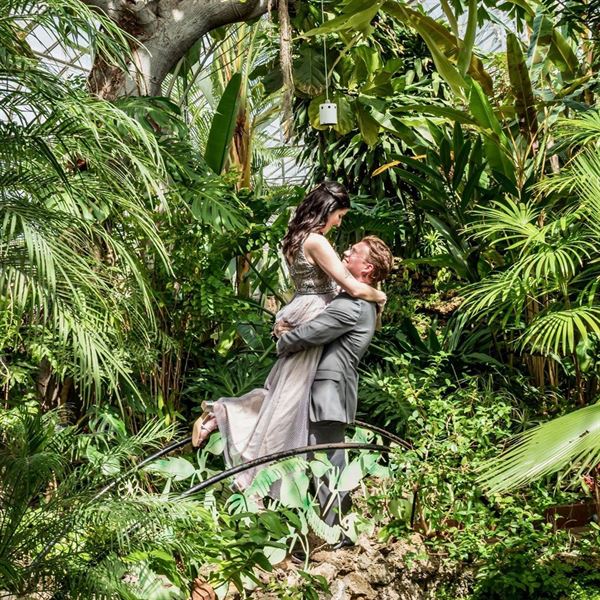 The Oak Park Conservatory