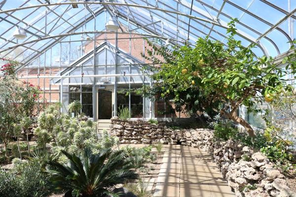 The Oak Park Conservatory