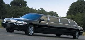 American Executive Limousine