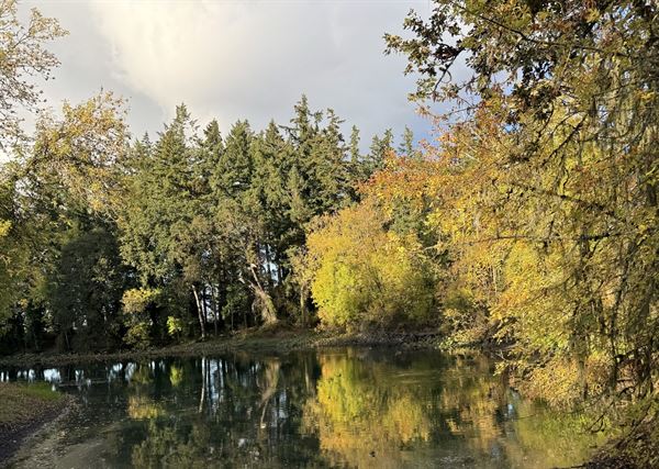 Gardens at Riverside