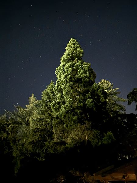 Gardens at Riverside