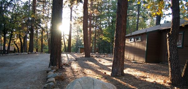 Alpine Meadows Retreats