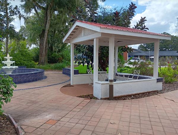 Sweet Surrender Yoga & Holistic Wellness