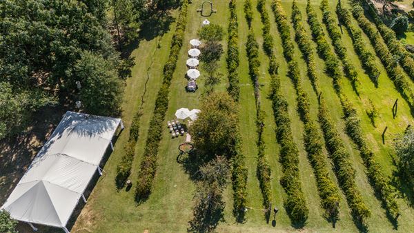 Norwood Vineyard & Gardens