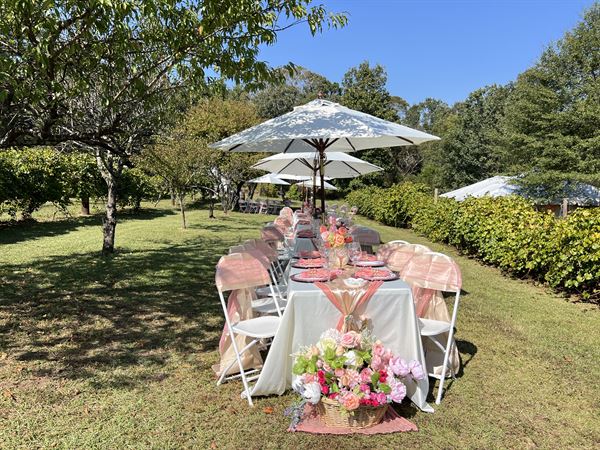 Norwood Vineyard & Gardens