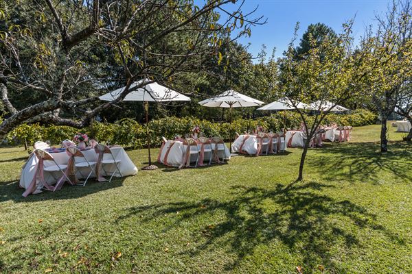 Norwood Vineyard & Gardens