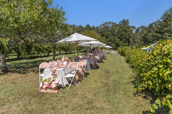 Norwood Vineyard & Gardens