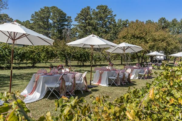 Norwood Vineyard & Gardens