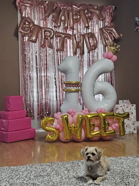 L.A. Event & Party Planning