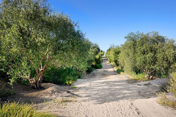 Spacious 7 bedroom Mansion in tranquil Topanga