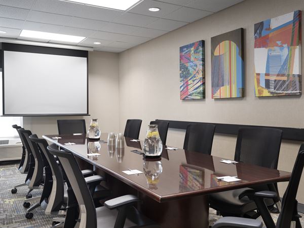 Hampton Inn Houston Galleria Area