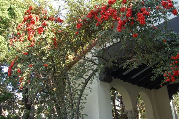 Beverly Hills Women's Club Event Center