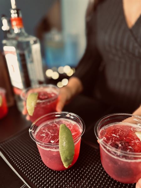 Sip Society Bartending