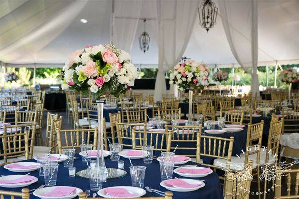 Clark Gardens Botanical Park