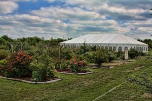 West Side - West Tent