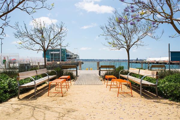 Carnitas' Snack Shack