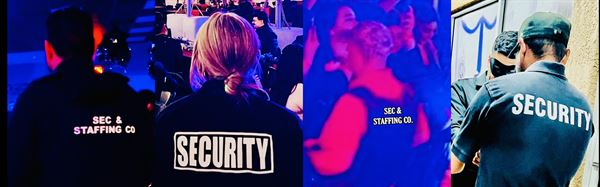 Sec & Staffing Co.