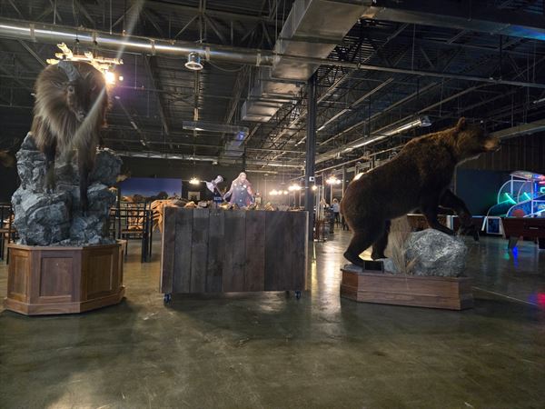 Montana Nights-Putnam