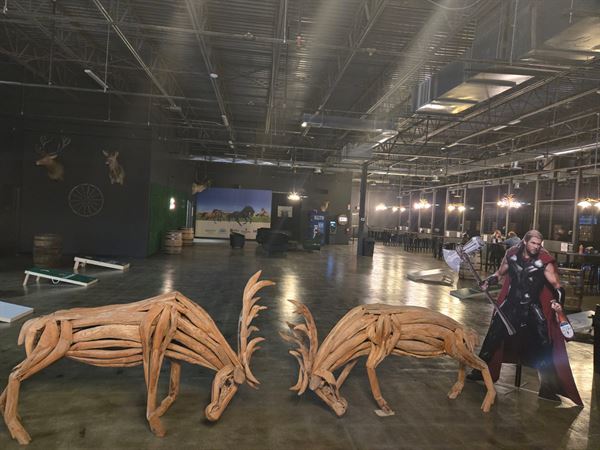 Montana Nights-Putnam