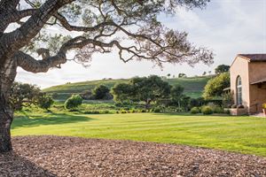 Ancient Oak Event Lawn