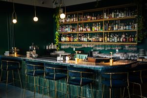 The Party + Patio (Spring / Summer only)