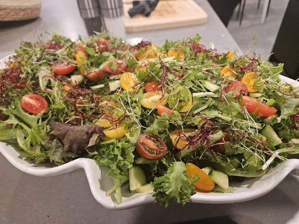 Mad Mushroom Meals