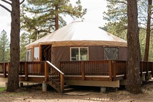 Large Yurt