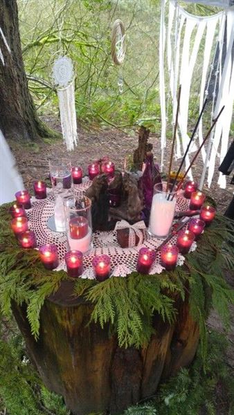 Wicked Weddings Officiates