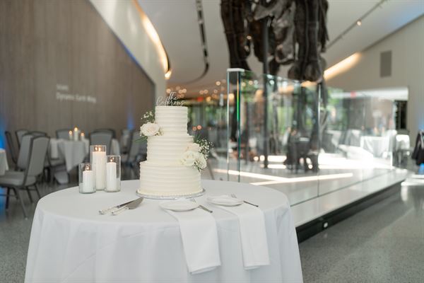 Cleveland Museum of Natural History