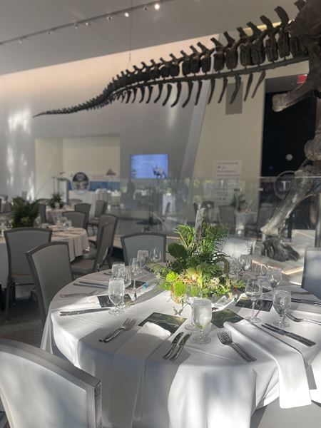 Cleveland Museum of Natural History