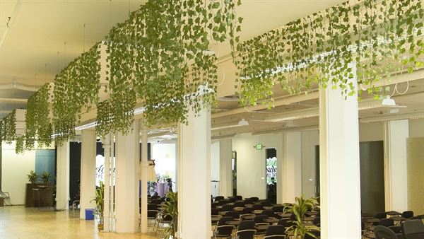 Digital Jungle: Your All-in-One Space for Conference, Hackathons, Workshops, Podcasts & Networking