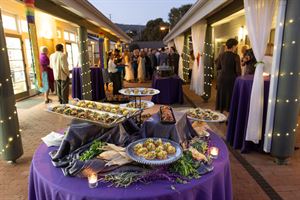 Terrace & Patio at Live Oak