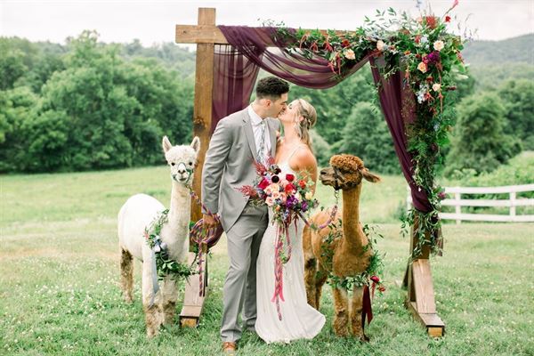 Briar Patch Bed & Breakfast