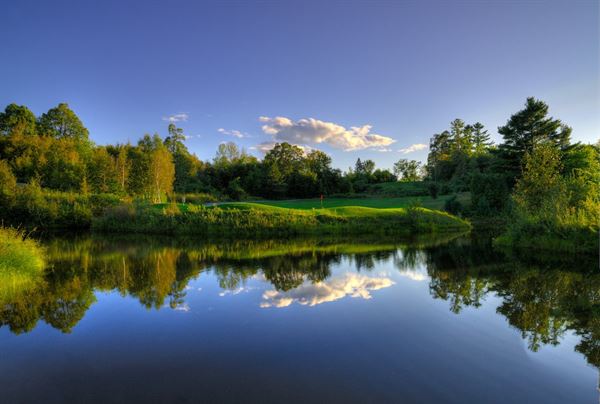 Dragonfly Golf & Events