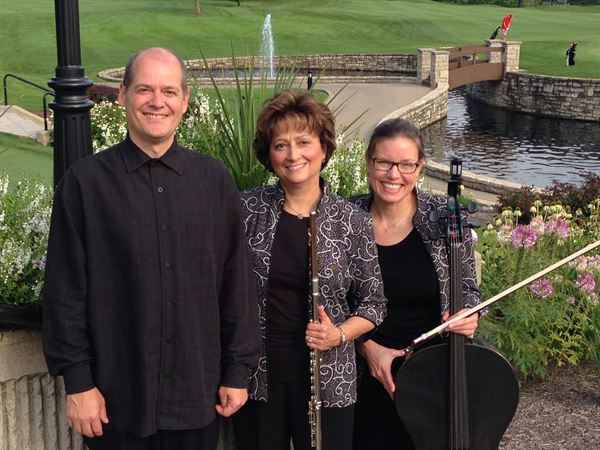 Silver & Strings Trio