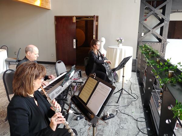 Silver & Strings Trio