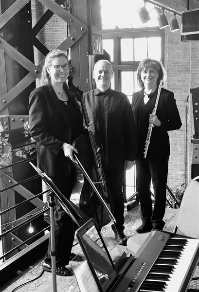 Silver & Strings Trio