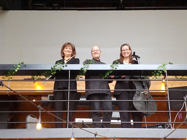 Silver & Strings Trio