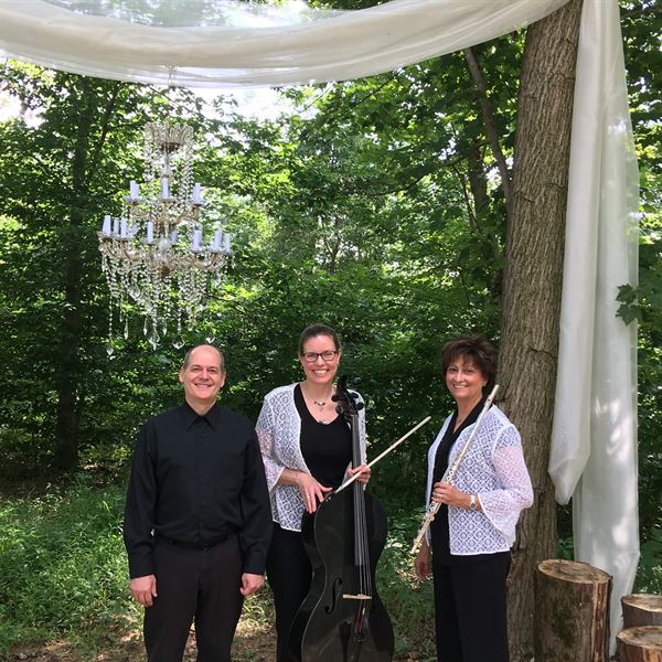 Silver & Strings Trio