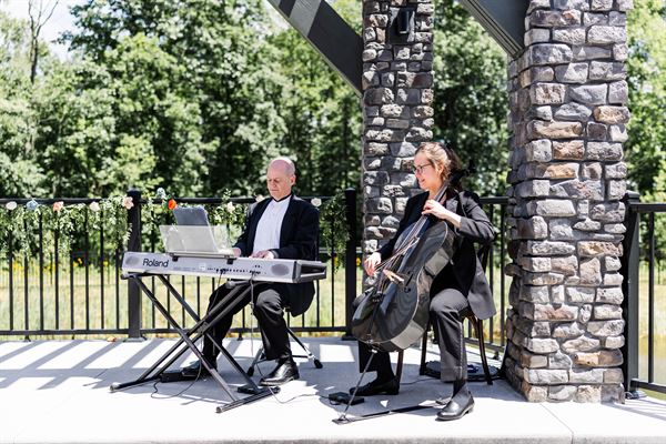 Silver & Strings Trio