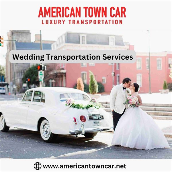 Americantowncar