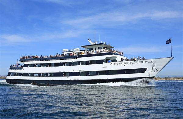 San Diego Bay Cruises