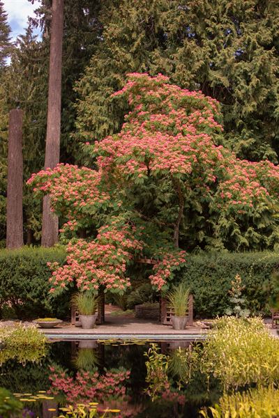 Milner Gardens & Woodland