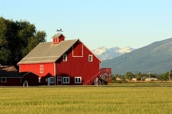 The Barn at Teller